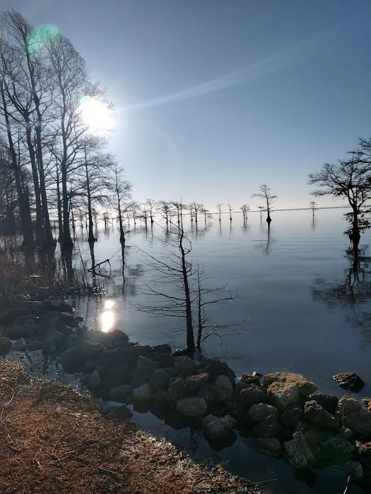 Osprey Nest Campground 7