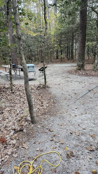 Merchants Millpond Family Campground 1