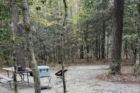 Merchants Millpond Family Campground