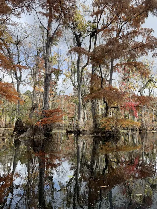 Merchants Millpond Family Campground 7