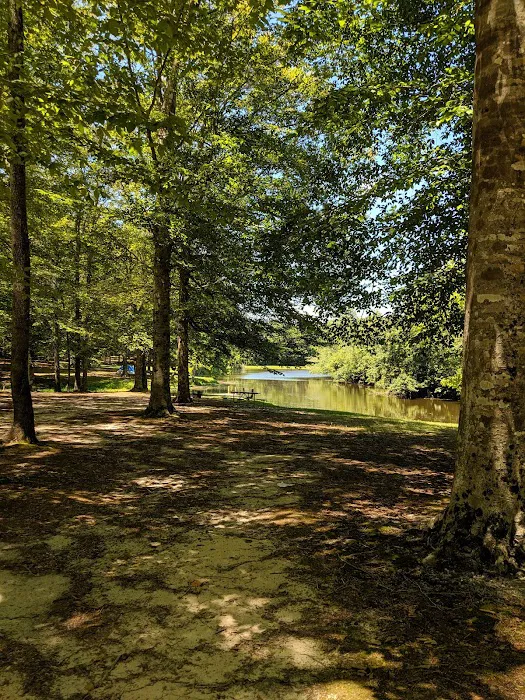 Isle of Wight Family Campground 6