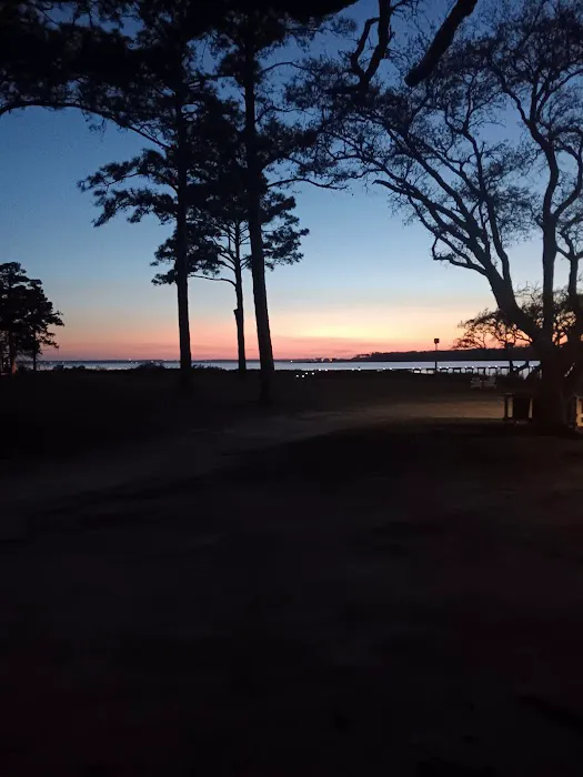 Coastal Carolina Campground 7
