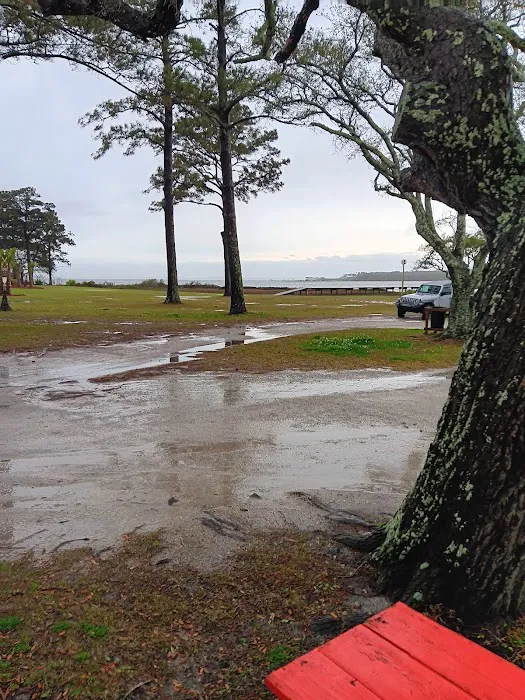 Coastal Carolina Campground 8