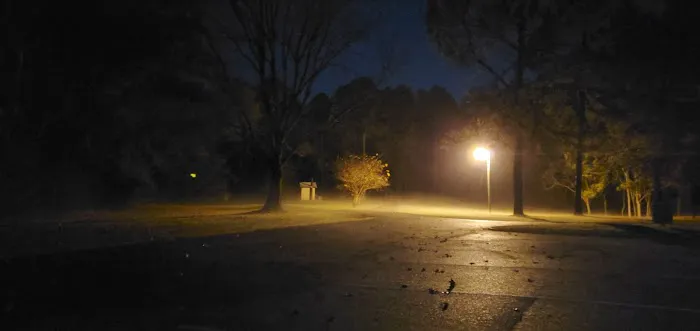 Gin Creek Campground 6