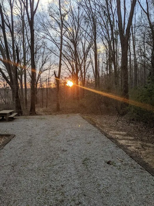 Gin Creek Campground 2