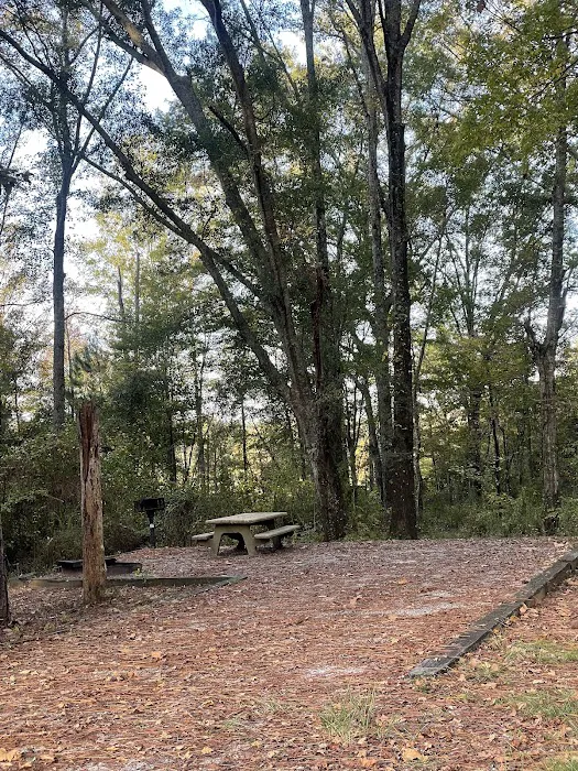 Gin Creek Campground 3