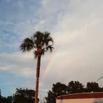 Palm Grove Rental Resort