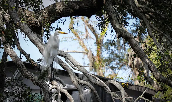 Pelican Pier Mobile Park 6
