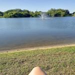 Veranda Springs Mobile Home Park