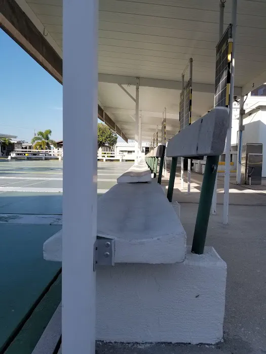 Palmetto Mobile Home Club 10