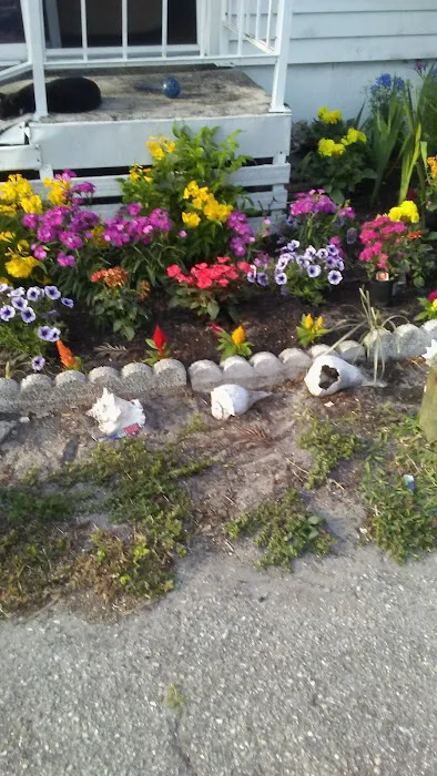 Rainbow Village LLC 6
