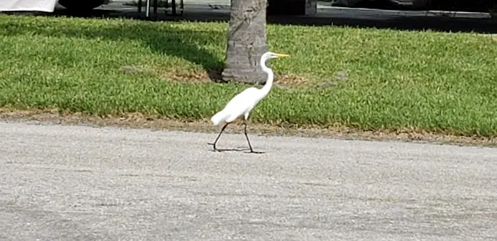 Jet Mobile Home Park 8