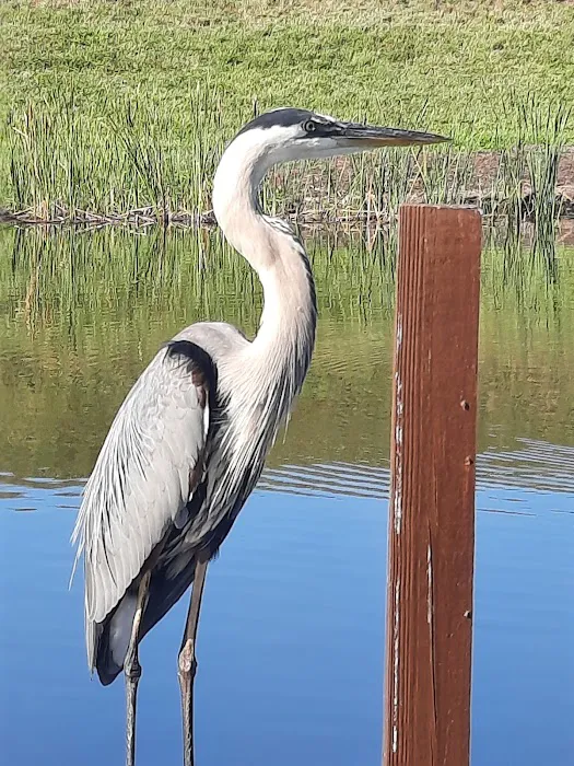 Water's Edge RV Park 5