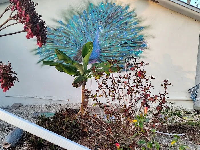 Peacock Cove 4