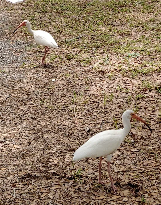 Vero Beach Kamp Inc 4