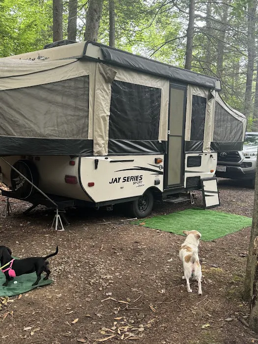 Wilderness Campground 7