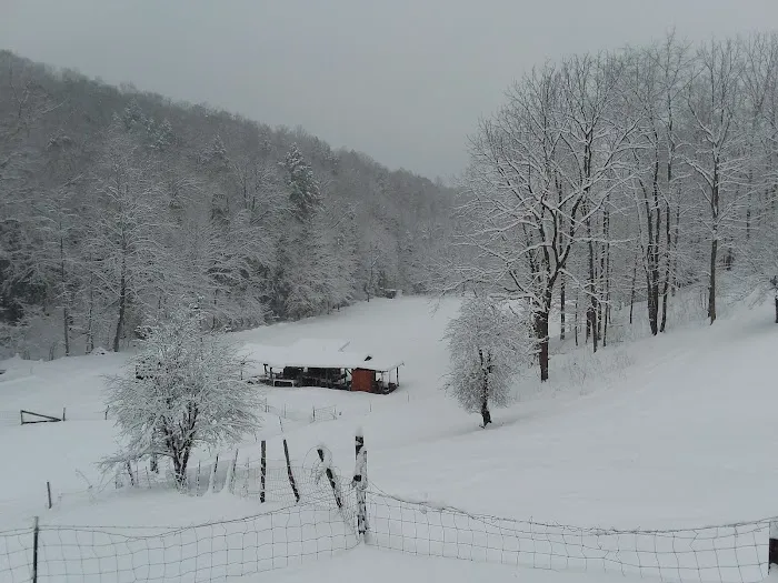 Tawney Farm, LLC 7