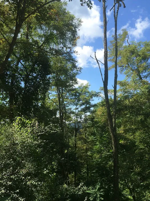 Gauley River Wild & Woolly Primitive Campground 8