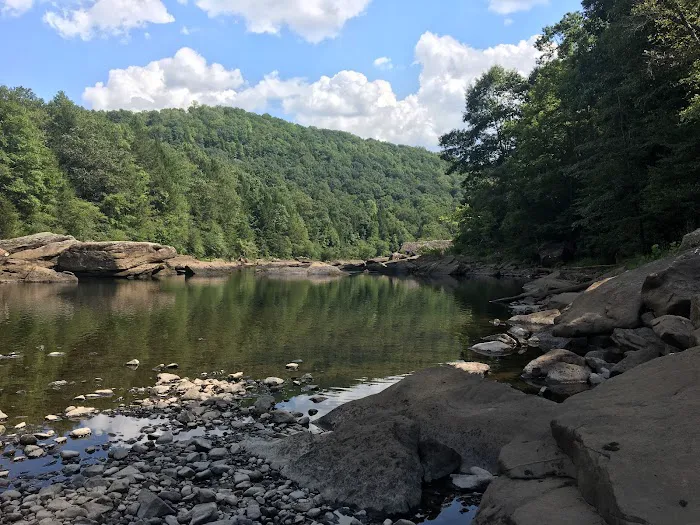Gauley Tailwaters Campground 1