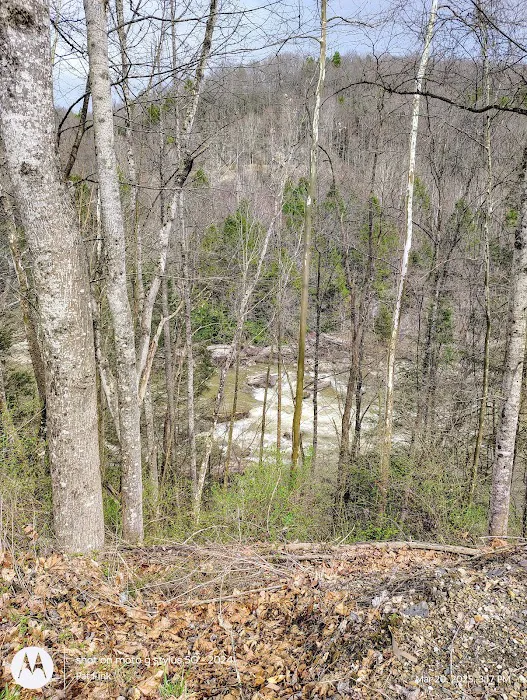Gauley Tailwaters Campground 9