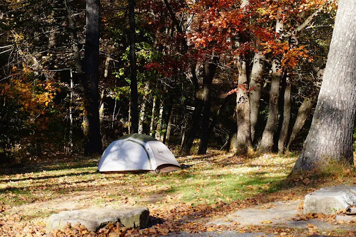 North River Campground 5