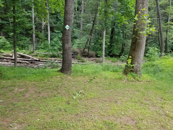 North River Campground 3