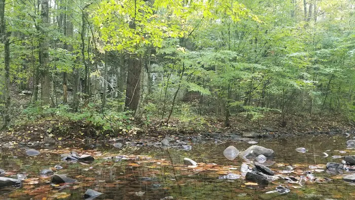North River Campground 1