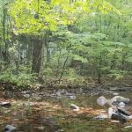 North River Campground