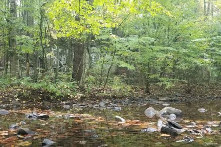 North River Campground