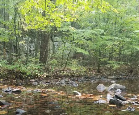North River Campground