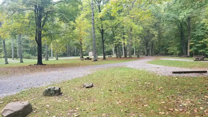 North River Campground 6