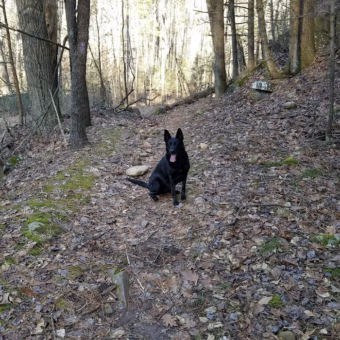 North River Campground 10