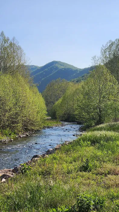 The Trout Camp aka Fontinalis Farms and Campground LLC. 1