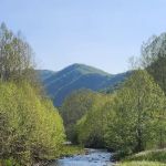 The Trout Camp aka Fontinalis Farms and Campground LLC.