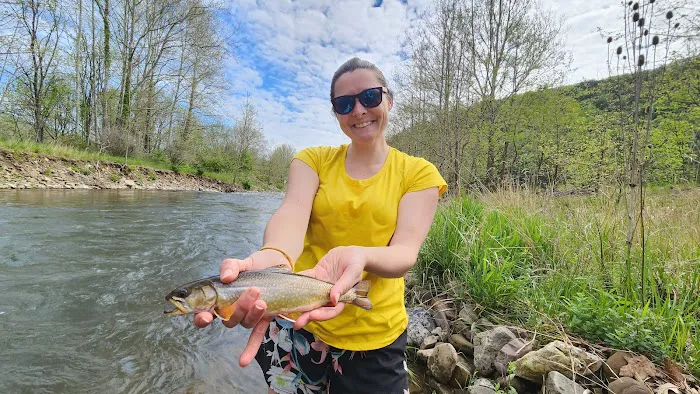 The Trout Camp aka Fontinalis Farms and Campground LLC. 2