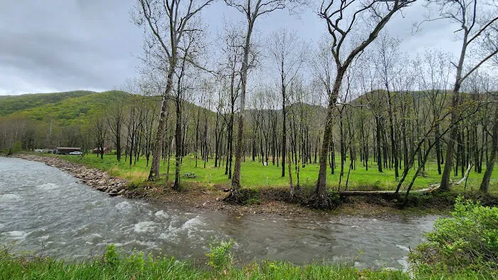 The Trout Camp aka Fontinalis Farms and Campground LLC. 6