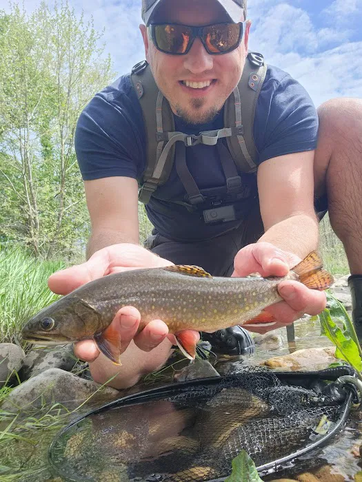 The Trout Camp aka Fontinalis Farms and Campground LLC. 10