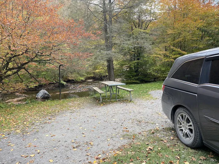 Laurel Fork Campground 2