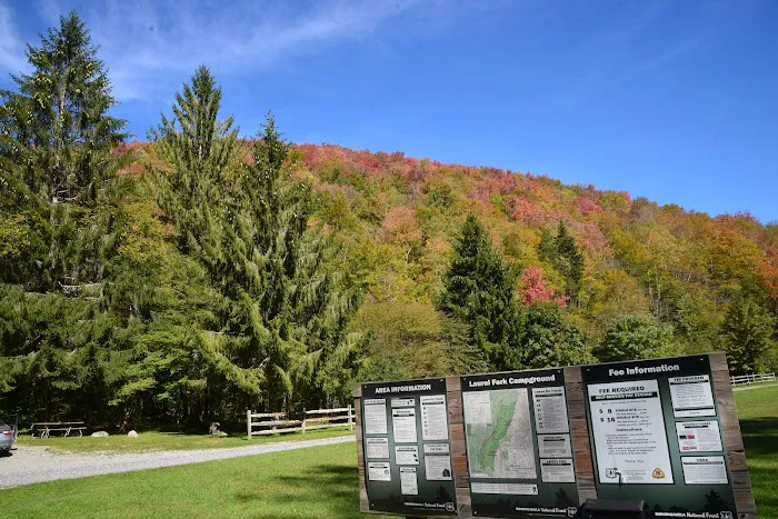 Laurel Fork Campground 3
