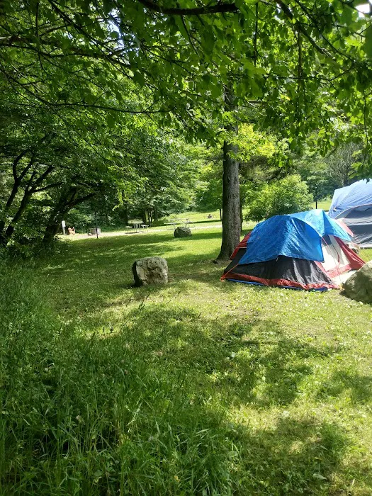 Laurel Fork Campground 7
