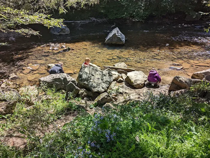 Laurel Fork Campground 10