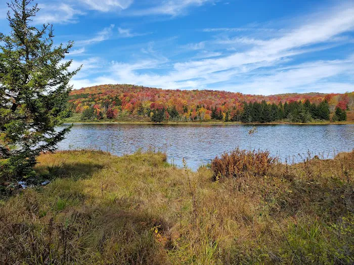 Spruce Knob Lake Campground 3