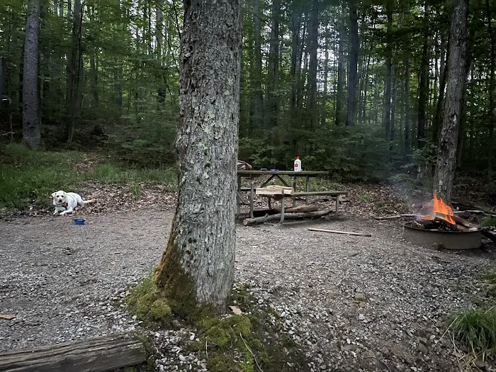 Spruce Knob Lake Campground 5