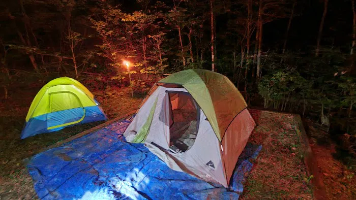 Spruce Knob Lake Campground 7