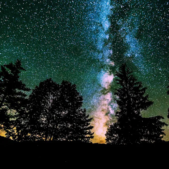 Spruce Knob Lake Campground 4