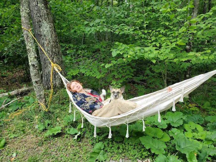 Spruce Knob Lake Campground 10