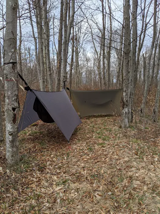 Gatewood Group Campground 1