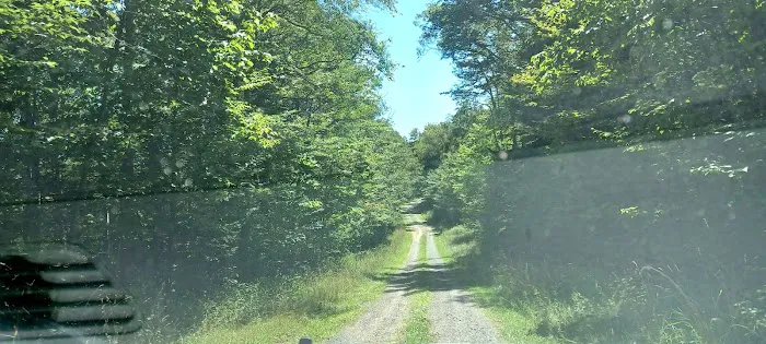 Gatewood Group Campground 6