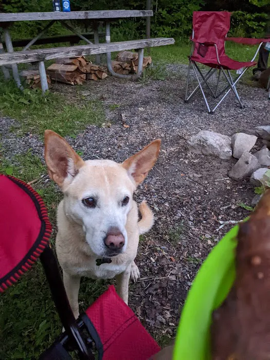 Gatewood Group Campground 10