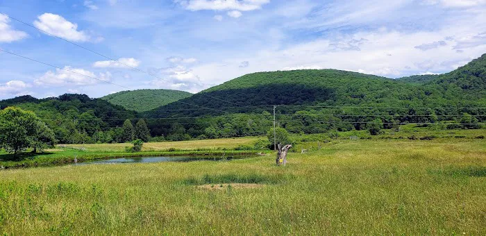 Bemis Campground 5